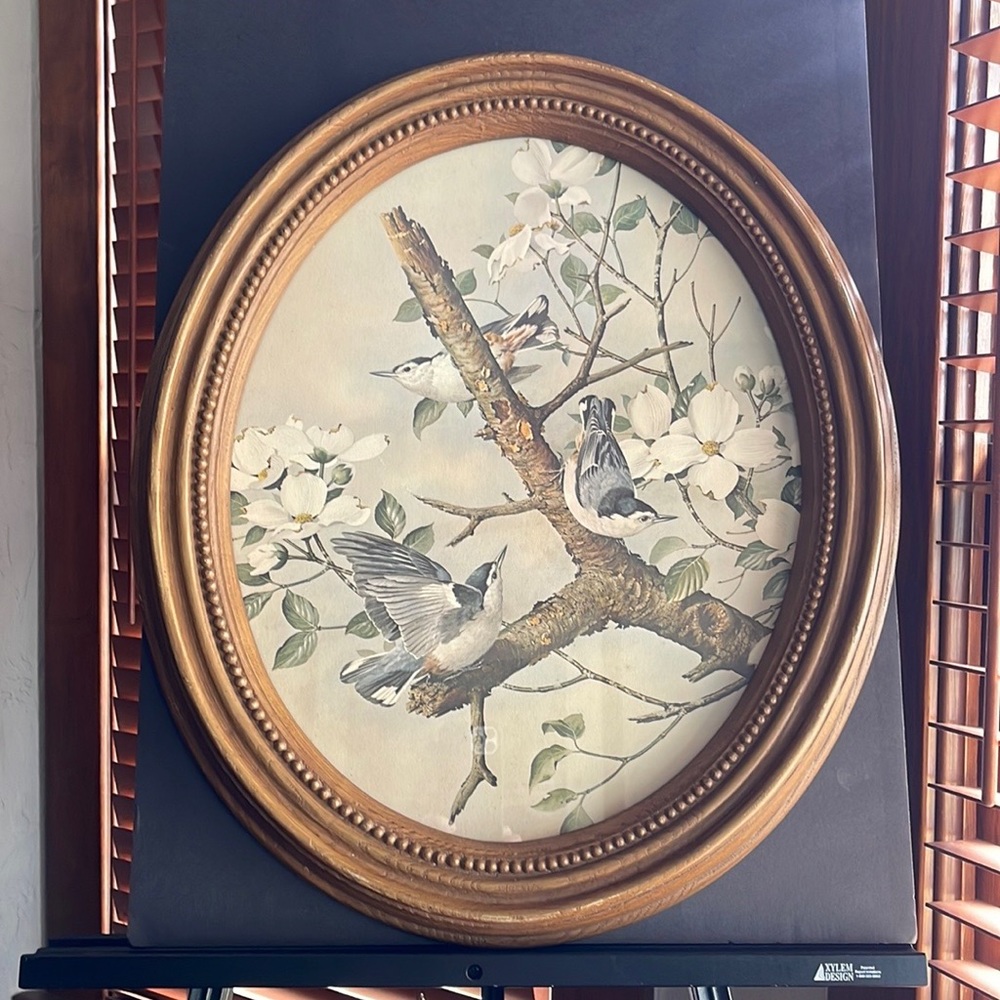 Artist Basil Ede "White-Breasted Nuthatches" Print With Syroco Frame